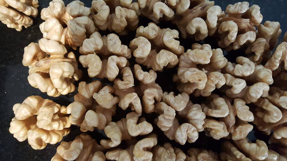 quality australian walnuts