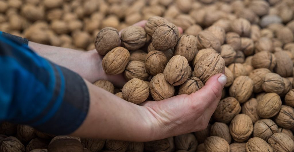 Walnut Farm - 20180407 - 4470-min-2-min